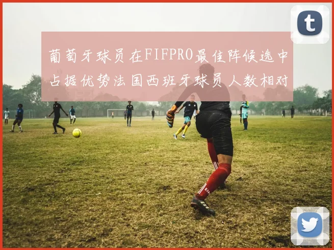 葡萄牙球员在FIFPRO最佳阵候选中占据优势法国西班牙球员人数相对较少