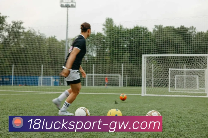 18新利体育平台生态图